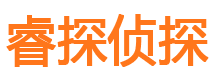 向阳市侦探公司